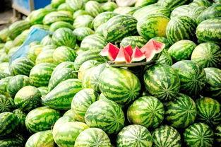 吃瓜爆料每日大瓜讲述,吃瓜爆料每日大瓜精彩回顾