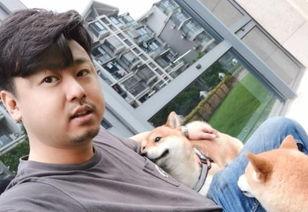 明星网红全是狗,原来他们都是狗狗的化身！