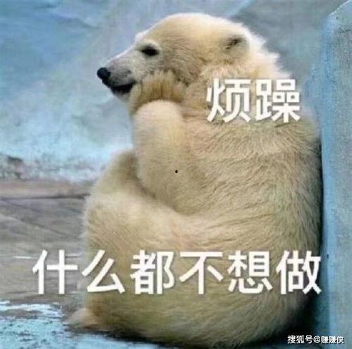 今日吃瓜吃人图片表情包,趣味横生，笑料百出