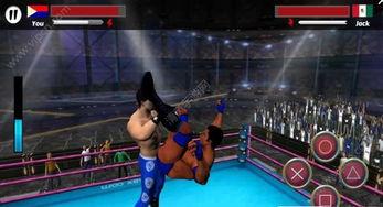 明星网红摔跤游戏,趣味竞技燃爆眼球