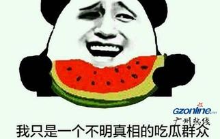 今日无吃瓜什么意思,网络流行语背后的文化现象