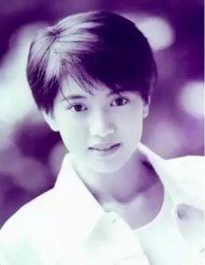 明星网红绰号大全,网络江湖中的别样风采